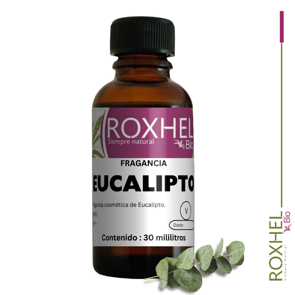 Fragancia Eucalipto